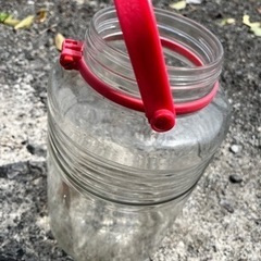 　10つ程あります！　梅干し、梅酒容器