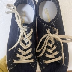ステファノロッシ 靴👟サイズ25～25.5用の画像