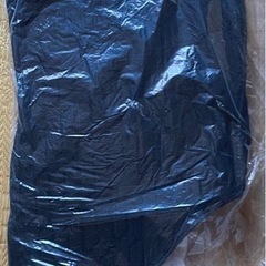 トヨタ ライズ　純正 フロアマット