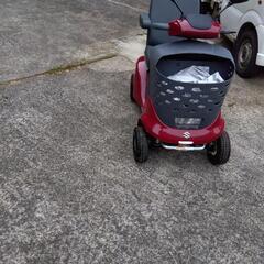 スズキセニアカー