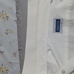 ワイシャツの画像