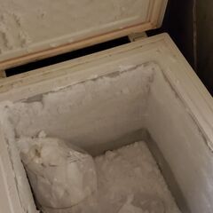 冷凍ストッカー(レマコム)の画像