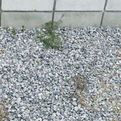 庭の砂利持って帰って下さい。の画像