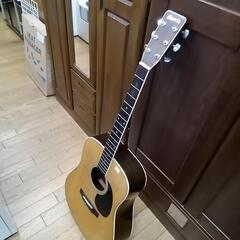 楽器 弦楽器、ギター