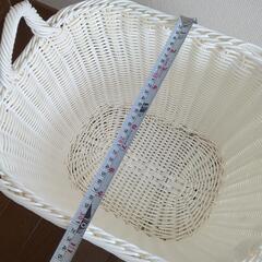 バスケットの画像