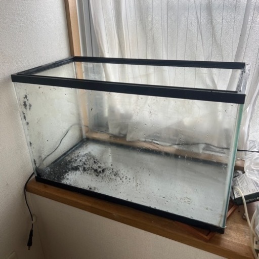６０ｃｍの水槽