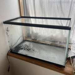 ６０ｃｍの水槽