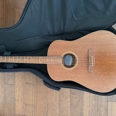 シーガル S6 Mahogany Deluxe SG A/E