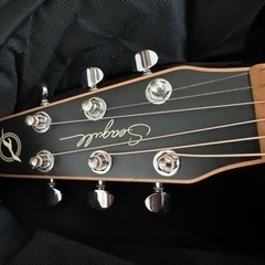 シーガル S6 Mahogany Deluxe SG A/Eの画像