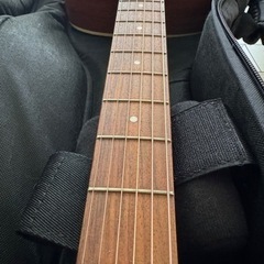シーガル S6 Mahogany Deluxe SG A/Eの画像