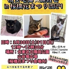 被災地保護猫譲渡会in桜橋花まつり