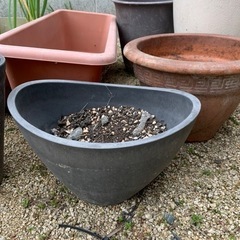 生活雑貨 家庭用品 ガーデニング　鉢　8点の画像