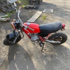 ape50 エイプ50 ホンダHONDAの画像