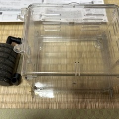 産卵ケース メダカ グッピー 魚 稚魚 中古品の画像