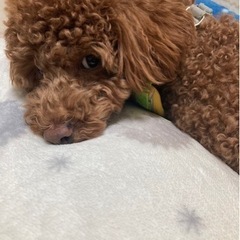 1歳2ヶ月