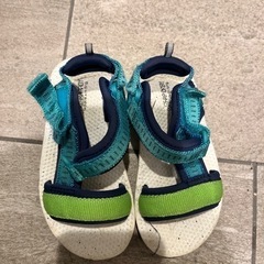 ZARA 14.5㎝の画像