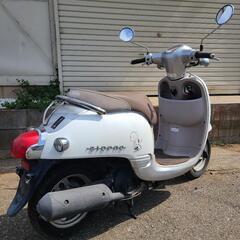 ホンダ　ジョルノ　ホワイト　AF70　オイル交換済み　千葉県流山市　配達可能ですの画像
