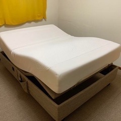 テンピュール　ゼロジー500 の画像