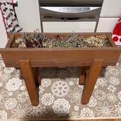 ウッドプロ ダックスプランター 木製プランター セダム 多肉植物付き