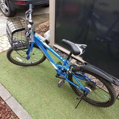 🚲自転車のカゴの画像