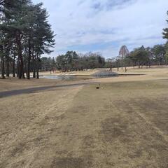 ⛳️平日水木ラウンド率多い方⛳️