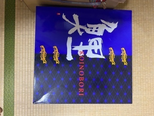 鯉のぼり
