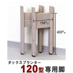 ウッドプロ ダックスプランター 木製プランター セダム 多肉植物付きの画像