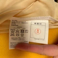 決まりました！シングル　トゥルースリーパーの画像