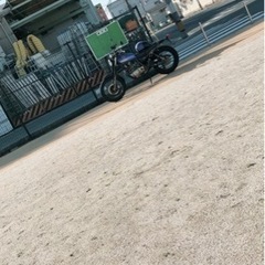 ビックボーイグラストラッカー