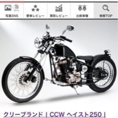 バイク  ヘイスト250 外車の画像