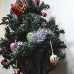 サンタ帽▪トナカイ帽とミニツリーと、クリスマス ツリー  の画像