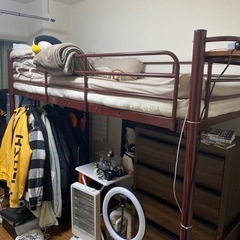 【急募】3月中に取りに来てくる方お願いします。ロフトベット