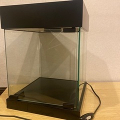 推しがさらに尊くなる…🕊️ライト付きディスプレイ棚の画像