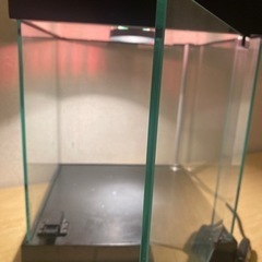 推しがさらに尊くなる…🕊️ライト付きディスプレイ棚の画像