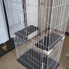 キャット用ゲージ