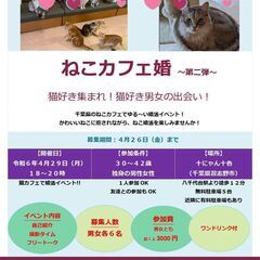 猫好き集まれ！ねこカフェ婚！～第二弾～
