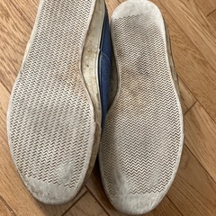 BROWNY (M)の画像