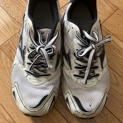 ミズノシューズ