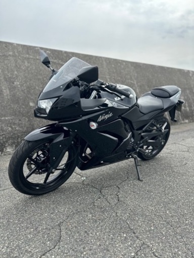 ⭐️倉敷市から⭐️カワサキ　　ninja250R