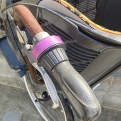 アンジェリーノ　紫の画像