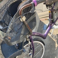 アンジェリーノ　紫の画像