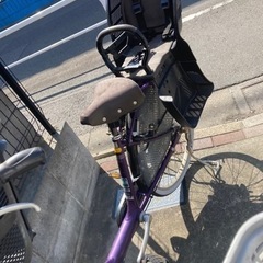 アンジェリーノ　紫の画像