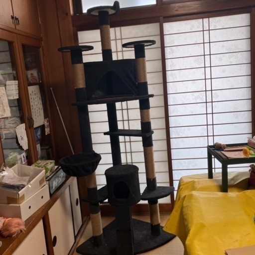 キャットタワー