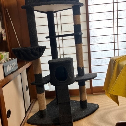 キャットタワー
