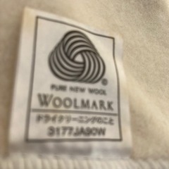 難有り　シングルカシミヤ毛布　の画像