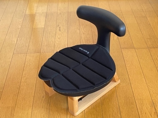 アーユルチェア（2025年いっぱいまでの保証書・限定クッション付き）