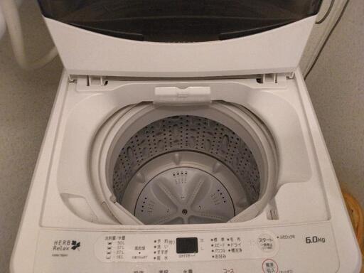 家電 生活家電 洗濯機