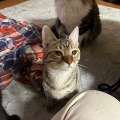 乳飲み子の頃に森林公園に捨てられてたノアくん
