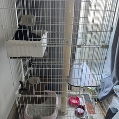 猫のゲージもつけます - 猫
