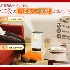 アイリスオーヤマ　加湿セラミックファンヒーターの画像